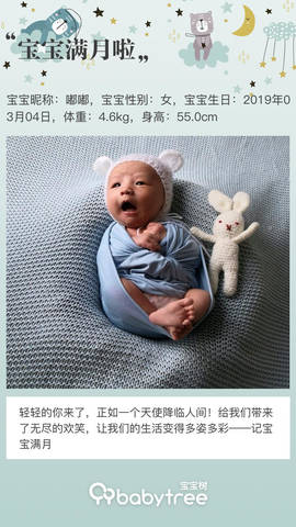 journal_insert_pic_1211296872