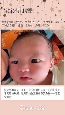 journal_insert_pic_1211411862