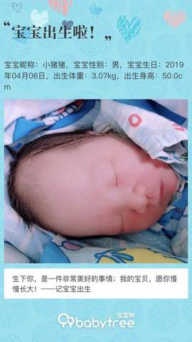 journal_insert_pic_1211544704