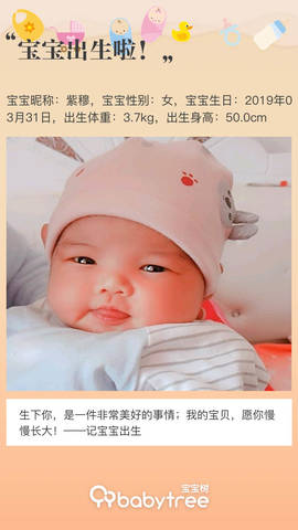 journal_insert_pic_1211898294