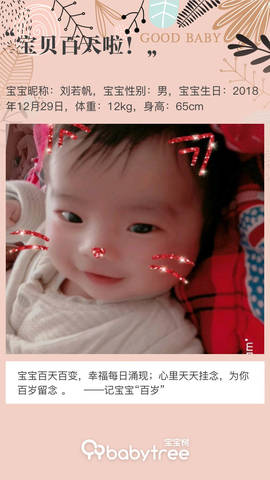 journal_insert_pic_1211887969