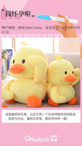 journal_insert_pic_1211650112