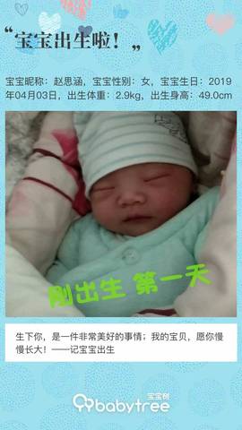 journal_insert_pic_1212120789