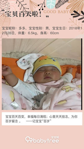 journal_insert_pic_1212945780
