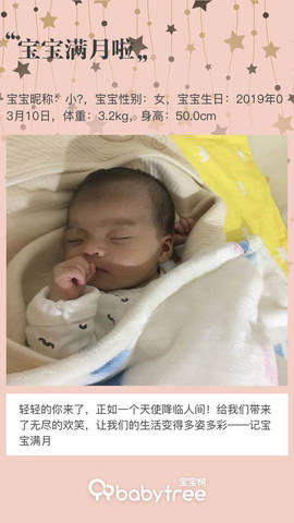 journal_insert_pic_1213035363