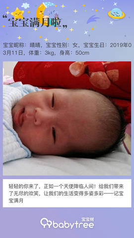 journal_insert_pic_1212480502