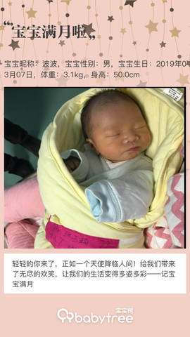 journal_insert_pic_1212414558