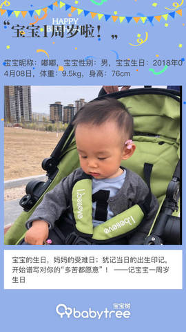 journal_insert_pic_1212375583