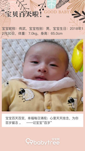 journal_insert_pic_1213351996
