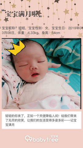 journal_insert_pic_1213222319