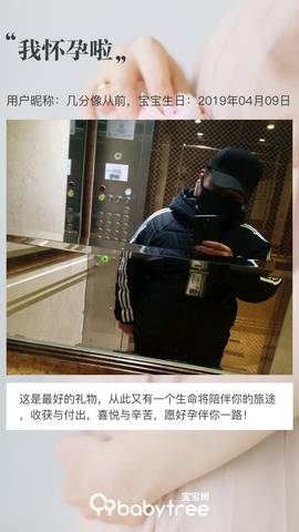 journal_insert_pic_1213074736