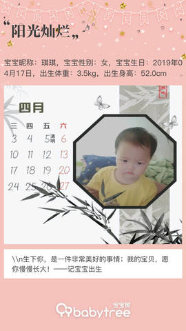 journal_insert_pic_1213766715
