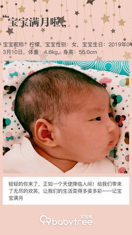 journal_insert_pic_1213997127