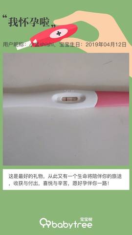 journal_insert_pic_1215152792