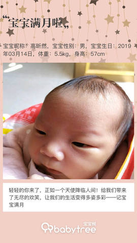 journal_insert_pic_1215012012