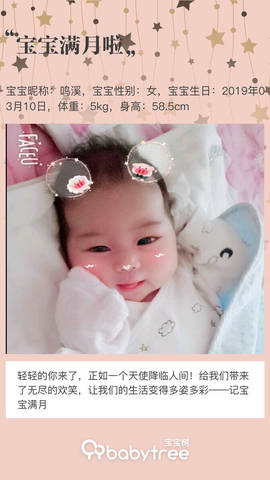 journal_insert_pic_1215302781