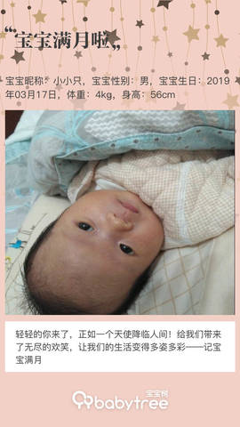 journal_insert_pic_1215714575