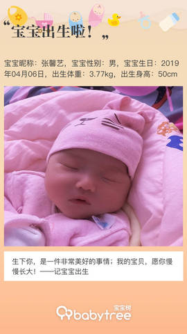 journal_insert_pic_1215940234