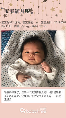 journal_insert_pic_1215694023