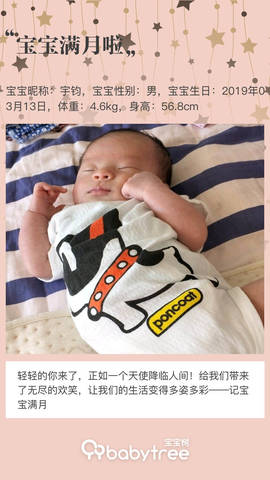 journal_insert_pic_1217213304