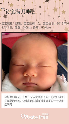 journal_insert_pic_1216874263