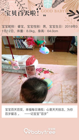 journal_insert_pic_1218009431