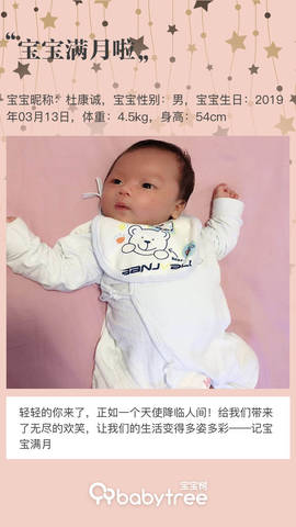 journal_insert_pic_1217461641