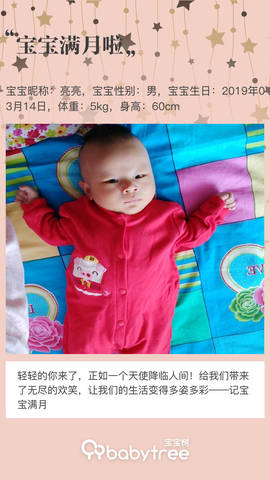journal_insert_pic_1217840234