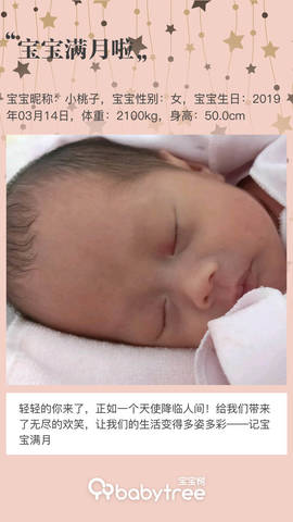 journal_insert_pic_1217473491