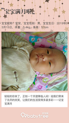 journal_insert_pic_1217637250