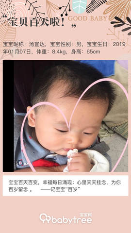 journal_insert_pic_1218528220