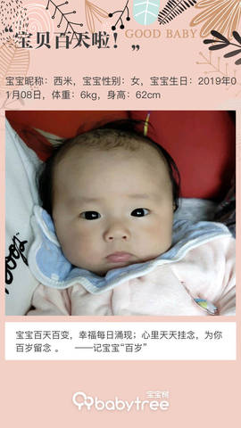 journal_insert_pic_1218900525