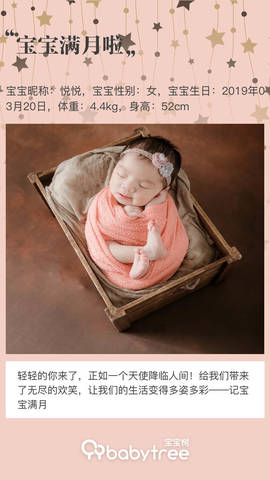 journal_insert_pic_1219399269