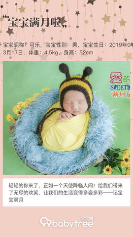 journal_insert_pic_1220253261