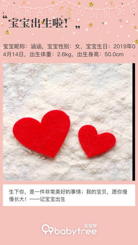 journal_insert_pic_1220510412