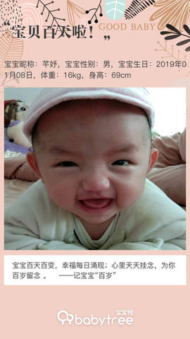 journal_insert_pic_1221434204