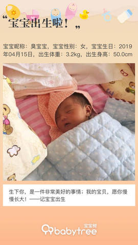 journal_insert_pic_1221577744