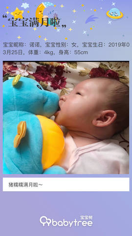 journal_insert_pic_1222144746