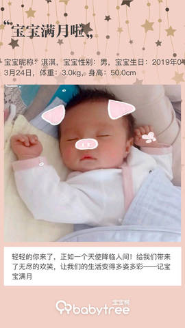 journal_insert_pic_1222615544