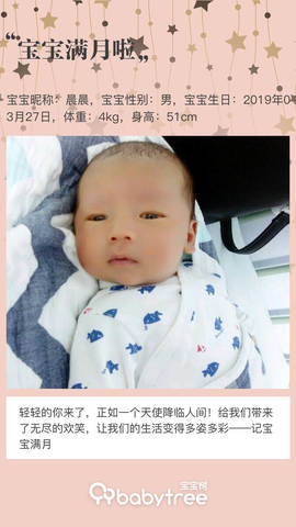 journal_insert_pic_1222568982