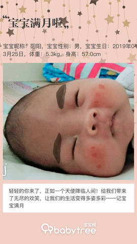 journal_insert_pic_1223669506