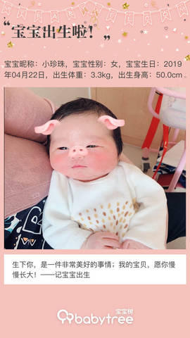 journal_insert_pic_1223038766