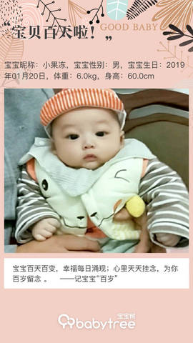 journal_insert_pic_1223173943