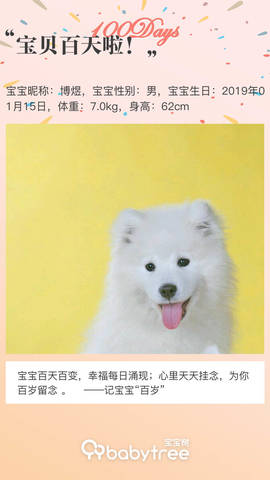 journal_insert_pic_1223661028