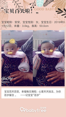 journal_insert_pic_1223636728