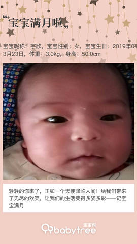 journal_insert_pic_1223721546