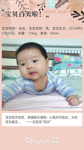 journal_insert_pic_1225064322