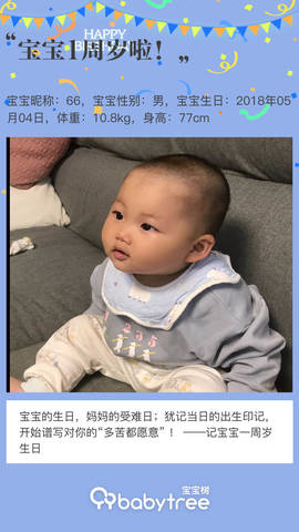 journal_insert_pic_1226244433