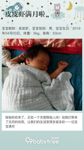 journal_insert_pic_1226682037