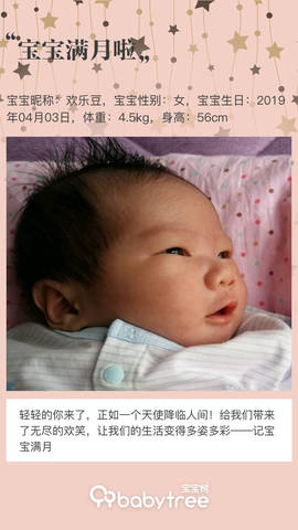 journal_insert_pic_1226234584